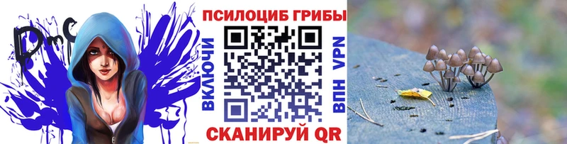 гидра Новое Девяткино Псилоцибиновые грибы GOLDEN TEACHER